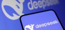 DeepSeek